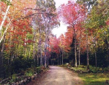 Ce petit chemin......